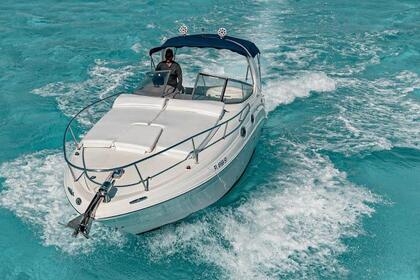 Rental Motorboat Sea Ray Sundancer 2010 Cancún