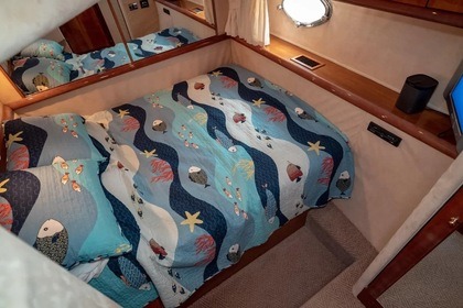 Experience Luxury Afloat with Our Sunseeker Manhattan 56