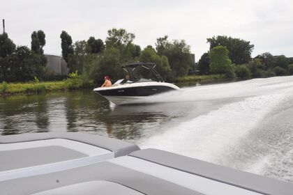 Miete Motorboot Sea Ray 210 Spx Kitzingen