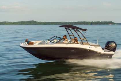 Hire Motorboat Sea Ray 190 Spx Rovinj