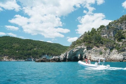 Noleggio Barca senza patente  Master Predator 5.50 Vieste