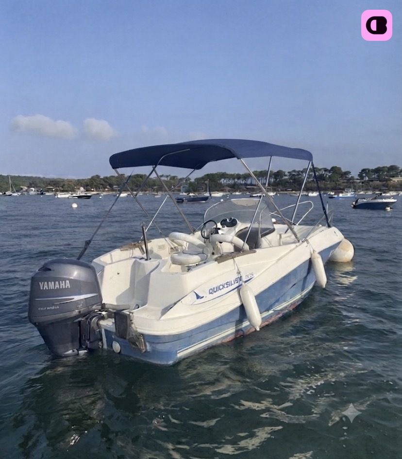 Bateau à moteur Quicksilver 635