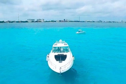 Alquiler Lancha Sea Ray Sundacer 50 Cancún