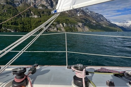 Shamrock 9.5 - RegattaYacht