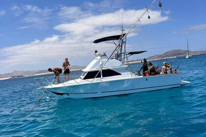 Charter Motorboat Bertram Bertram 28 Fuerteventura