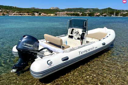 Charter Boat without licence  Capelli Capelli Tempest 530 Baja Sardinia