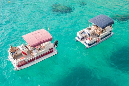 Rental Boat without license  Sunchaser Pontoon Arguineguín