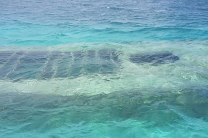 barca per wakeboarding ilets e mangrovie