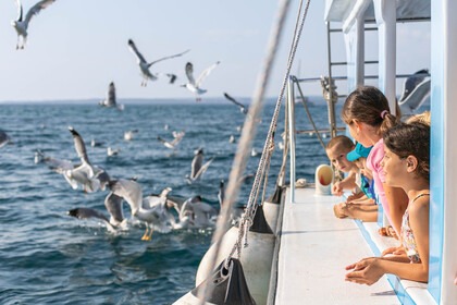 BOAT TOUR FAŽANA - NATIONAL PARK BRIJUNI