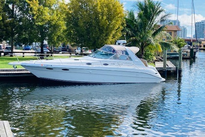 Rental Motorboat Sea Ray SUNDANCER Miami