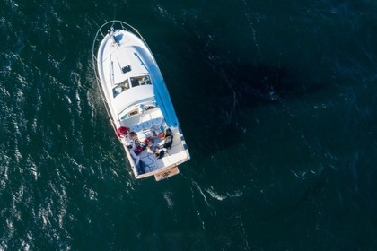 Alquiler Lancha Beneteau Antares 9.05 Portosín