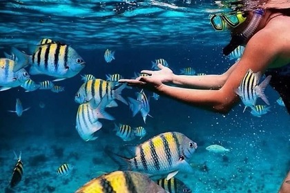 Experience Luxury and Adventure Aboard the Truco III Leopard 51 ft. Catamaran