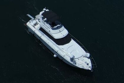 Princess flybridge 45