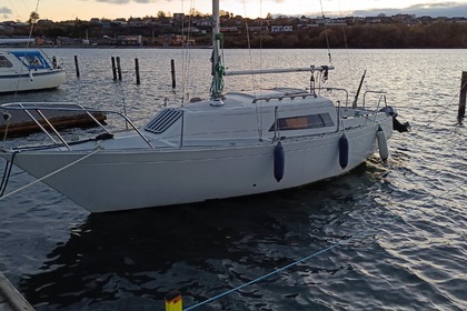 Alquiler Velero Foxhound 24 Sønderborg