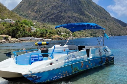 Hire Motorboat Bayliner Rendezvous Castries