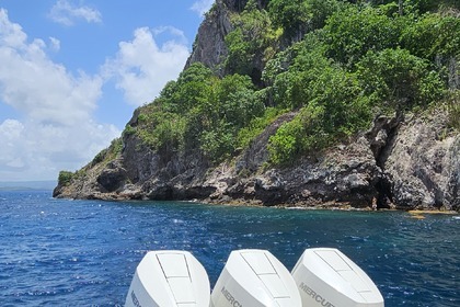 Rental Motorboat Wellcraft Scarab Fort-de-France