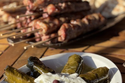 Alma Libre Daily Cruises