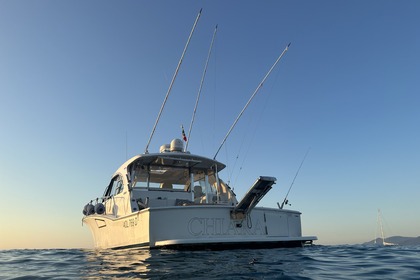 Fishing Charter, Day Charter or Sunset Cruise aboard refitted Cabo HTX44