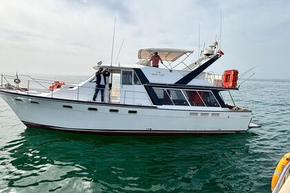 Hire Motor yacht Bayliner 4588 Agadir