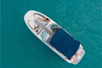 Sea Ray 260