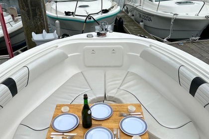 WELLCRAFT - 252 FISHERMAN