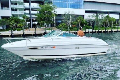 Hire Motorboat Sea Ray 22 feet Miami