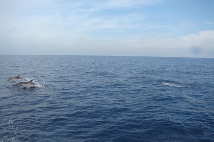 FAIRLINE SQUADRON 19 METRES