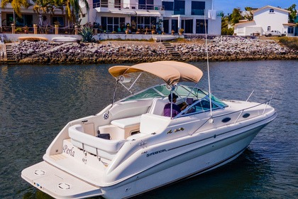 Sea Ray 240 Sundancer