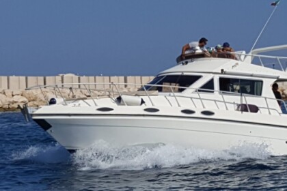 Piantoni Onda Azzurra Fly