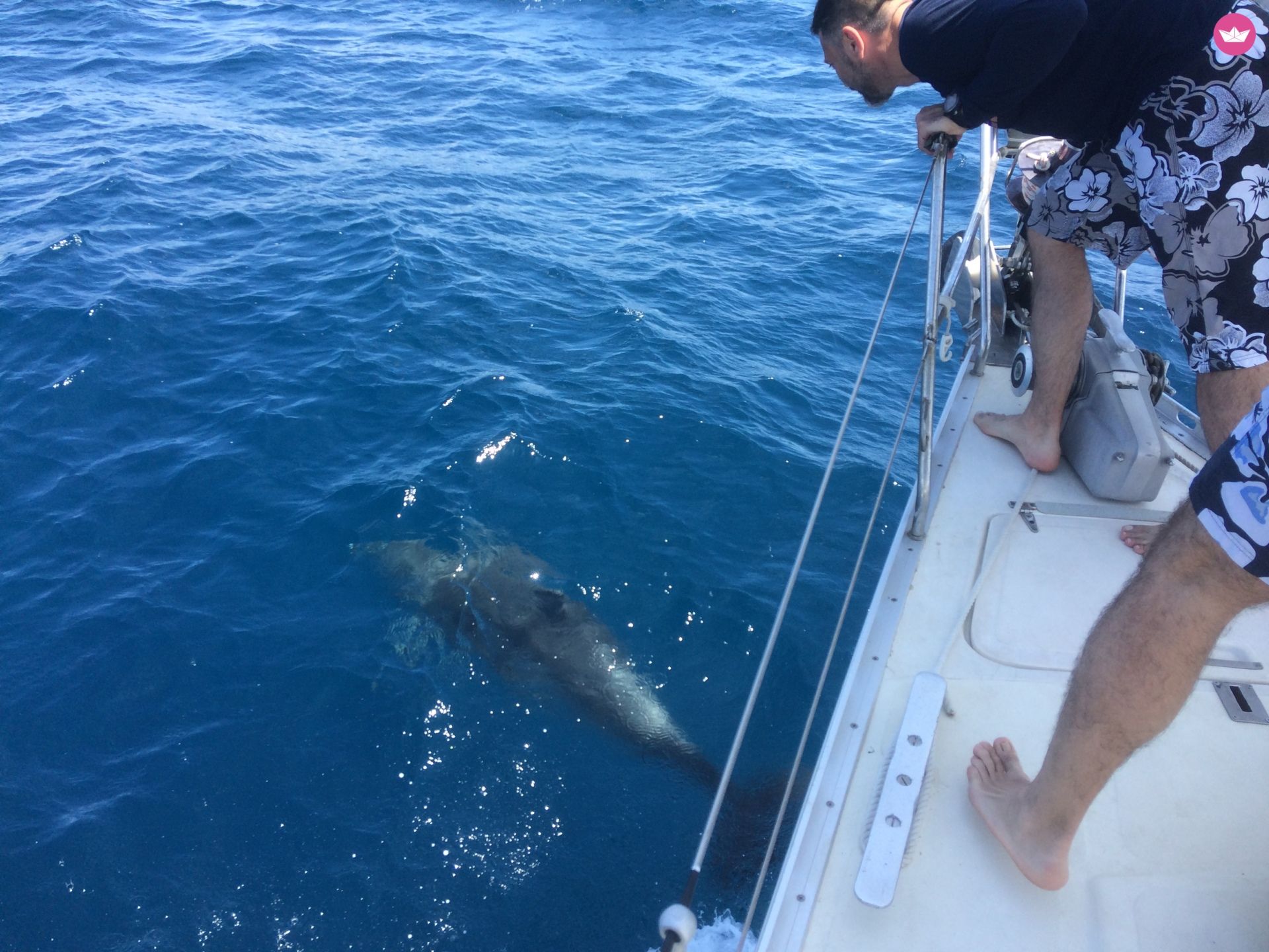 Dromor Triton 48 in Athens for hire