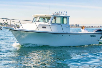 Hire Motorboat Yamaha 31 Contender/25Parker New York