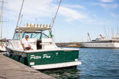 Pursuit 3400 "Express" 12 metres