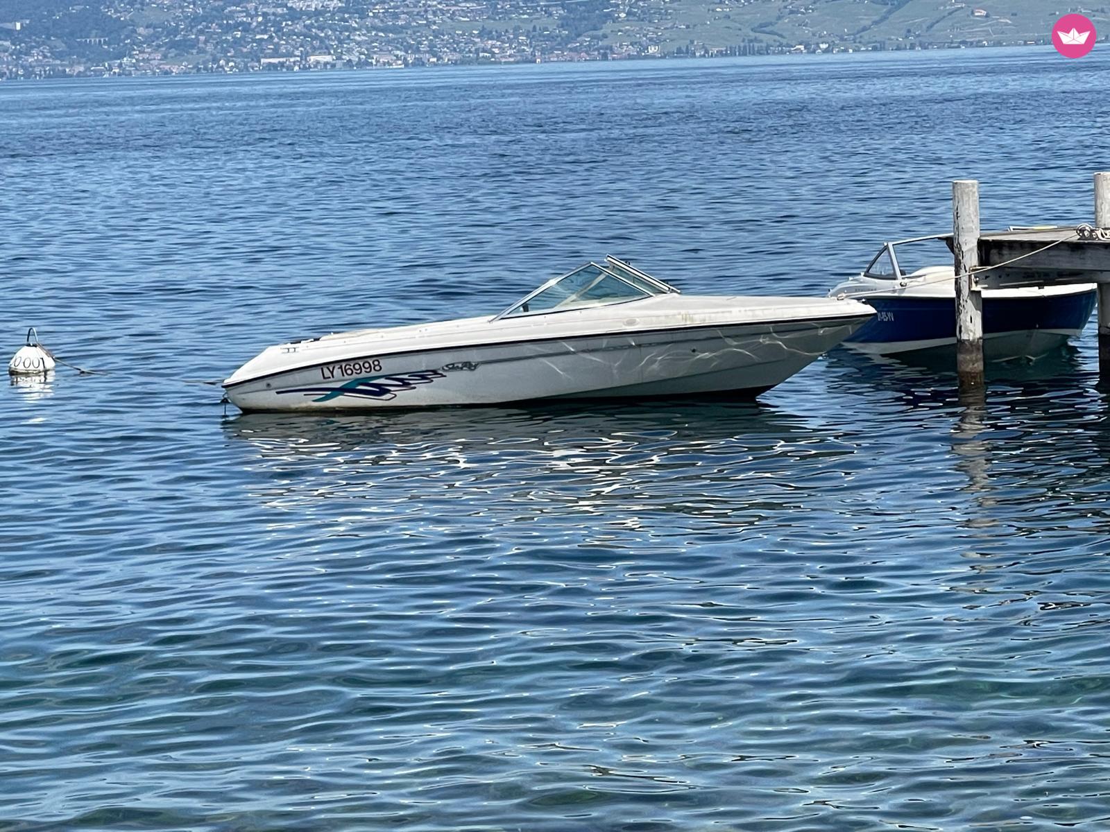 Bateau à moteur Sea Ray 175 Sport 135cv