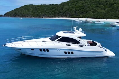 Hire Motor yacht Sea Ray Sun Dancer Fajardo