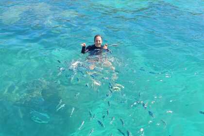 Daily private boat excursions