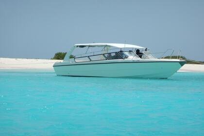 Hire Motorboat Yamaha 38 Willemstad