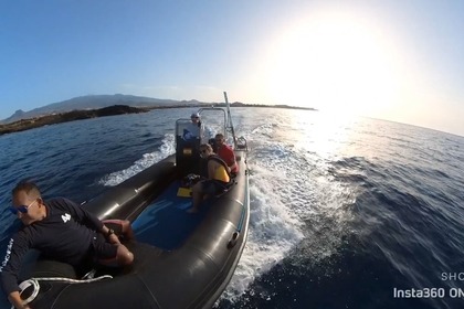 Czarter Łódź motorowa ASTEC PRO600 Las Galletas