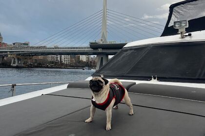 Custom Made Yacht 2024