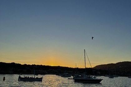 Tender cat 45  / Yacht seabob fuel and skipper not included