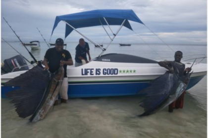 Rondleidingen en safari's in Panama