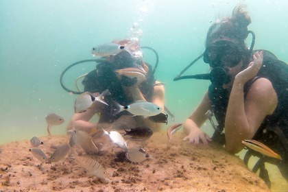 Ocean Boat Available For Scuba Diving Lessons Also