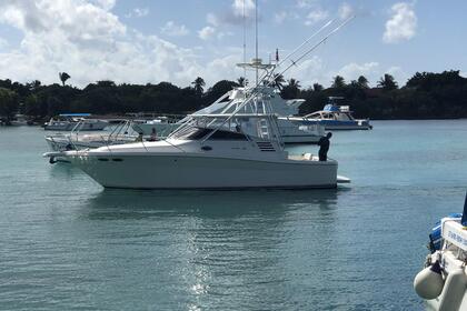 Rental Motorboat SEARAY  EXPRESS  Casa de Campo, La Romana