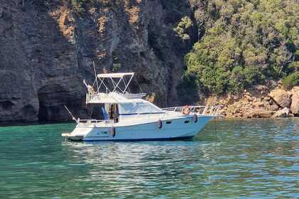 Rental Motorboat Ars monaco 31 fly Bocca di Magra