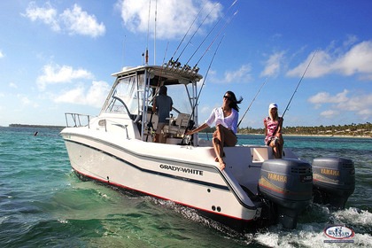 Rental Motorboat Grady White Tigercat F26 Punta Cana