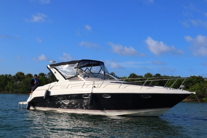 Rental Motorboat Regal commodore 3260 Miami