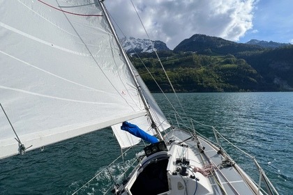 Shamrock 9.5 - RegattaYacht