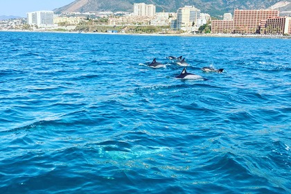 TRIMARCHI 53S BARCO NUEVO SIN LICENCIA