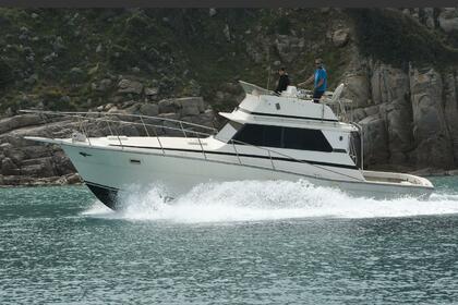 Rental Motorboat Viking 36 Santa Teresa Gallura