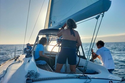 Sailing Tour 8 (hours)