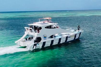 Noleggio Catamarano Yamaha Ocean catamarans Bávaro